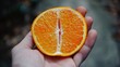 Eating An Orange. Hand holding a Fresh Mandarin Orange Ready to Eat
