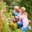 Senior Retired Couple Outdoors At Home Working In Summer Garden Together