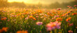 a field filled with colorful flowers with sunlight behind them