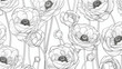Line art ranunculus background. Abstract backdrop with floral outlines