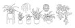 © Creative_Juice_Art - Set of Houseplants outline drawings. Indoor exotic flowers in pots line art. Dracaena, ficus, cacti, snake plant for home interior plans, design. Vector illustrations on transparent background.