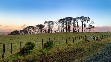 Canvas Print - New Zealand