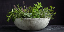Fresh Green Herbs In A Concrete Bowl On A Gray Table.
