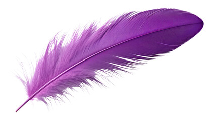 Wall Mural - purple feather isolated on transparent background cutout