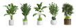 © Buffstock - Plants in 3d rendering. Beautiful plant in 3d rendering isolated