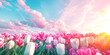 Illustration of spring pink flowers field. Natural landscape panorama