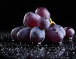 Red grapes with water splash on black glass background. Fruits and summer berries illustration