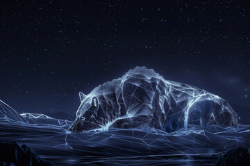 Canvas Print - A bear is laying on a rocky surface in the dark