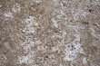 Texture of concrete floor with stone chips