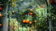 A charming garden gate its ironwork entwined with a lush wreath of greenery accented with bright orange pumpkins