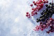 Red and black currants berries on ice, top view banner with copy space.