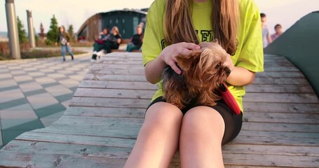 Wall Mural - A young girl with her dog, a Yorkshire terrier, on a playground in the park.