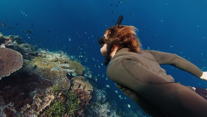 Poster - Man freediver swims underwater in the tropical sea and glides over the coral reef