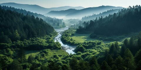 Poster - Serene mountain landscape with river and lush green forest