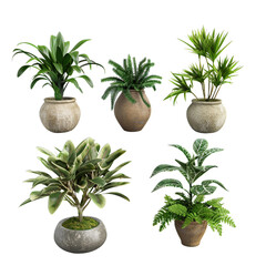 Poster - plants in pots