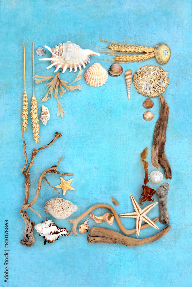 Nature natural objects background border with driftwood, seashells ...