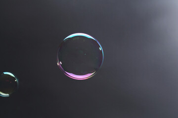 Beautiful transparent soap bubbles on gray background