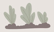 Salad leaves growing in garden soil in flat design. Vegetable farming process. Vector illustration isolated.