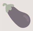 Eggplant in flat design. Natural vegetable from farming garden ranch. Vector illustration isolated.
