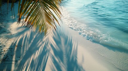 Tropical leaf shadow on water surface. Shadow of palm leaves on white sand beach. Beautiful abstract background concept banner for summer vacation at the beach. 