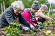 © Maelgoa - Gardening Activity for Elderly in Community Garden