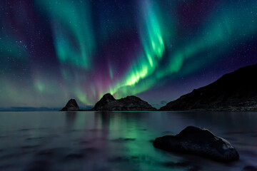 Wall Mural - aurora borealis over the sea in lofoten, norway