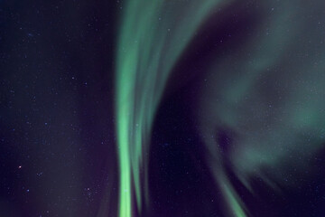 Wall Mural - aurora borealis in green and purple as background
