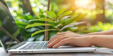 Wall Mural - data entry worker or blogger typing on a laptop with natural plants in the background