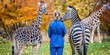 © Brian - Zookeeper with giraffe and zebra