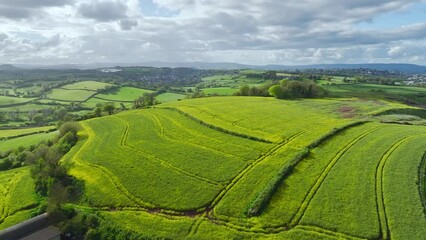 Sticker - Rapeseed fields and farms from a drone, Torquay, Devon, England