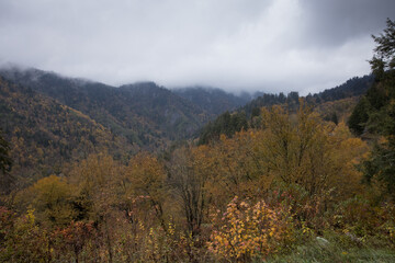 Wall Mural - Smoky Mountains with low clouds