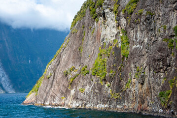 Canvas Print - Milford Sound - New Zealand