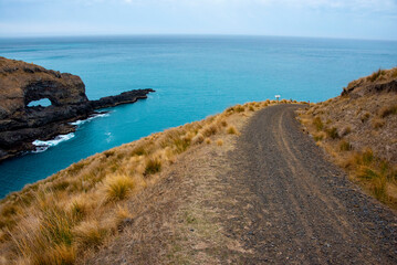 Wall Mural - Akaroa Head Scenic Reserve - New Zealand