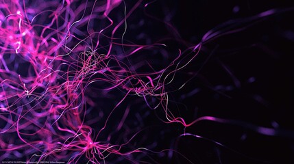 Wall Mural - A visually compelling plexus of magenta and violet lines and nodes that twist and turn on a black background featuring a significant amount of copy space for text integration