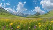 wildflower meadow and mountains scenic landscape photography nature panorama
