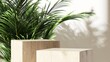 Two modern wooden cuboid table podium, tropical green palm tree in sunlight on beige wall room. Luxury cosmetic, skincare, beauty, body, hair care, treatment, fashion product display background 3D