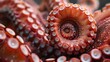 Capture the intricate details of an octopus tentacle in a photorealistic digital illustration