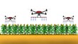 High tech drone spraying crops, Agriculture drone fly to sprayed fertilizer on the green corn field, drone spray fertilizer on green field, smart farming innovation, agricultural industrial technology