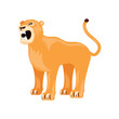 lion female feline