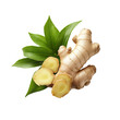 © PTC_KICKCAT - Fresh ginger root with green leaves isolated on black background.
