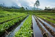 Sustainable farming techniques using irrigation systems