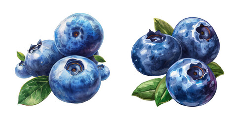 Hand drawn illustration of blueberry isolated on transparent background cutout png