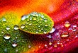 illustration, macro dew drops leaf natural water droplets close, surface, moisture, glistening, foliage, texture, environment, raindrops, closeup, rain