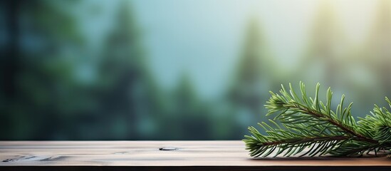 Poster - Copy space image of a fir tree branch resting on a wooden table