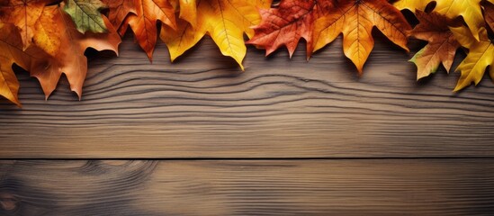 Aufkleber - Top view of a wooden background with a composition of autumn leaves and ample space for text creating a copy space image