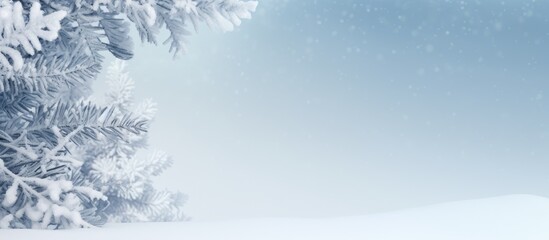 Poster - Snow covered fir branches in a copy space image representing the New Year and Christmas theme
