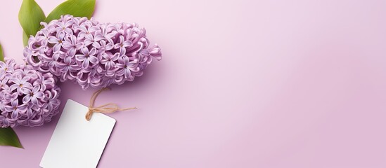 Poster - Top view of a lilac hyacinth placed on a pastel pink background alongside an empty paper tag The flat lay composition offers plenty of copy space for customizing the image