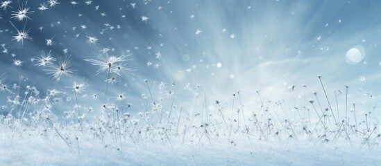 Poster - A wintry backdrop with space for text or lettering showcasing needles scattered amidst the snow. Creative banner. Copyspace image