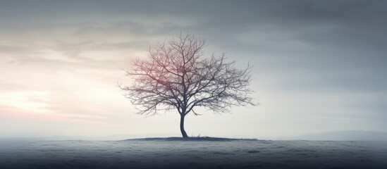 Canvas Print - A tree with no leaves providing a copy space image