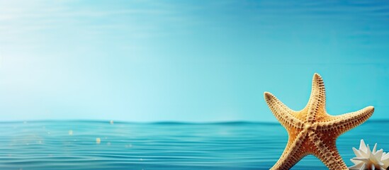 Poster - A summer holiday themed marine inspired image featuring a starfish and shell on a blue background with copy space